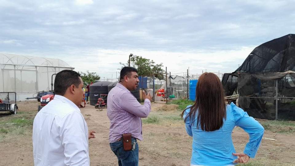 Acreditación CIEES de Calidad Académica